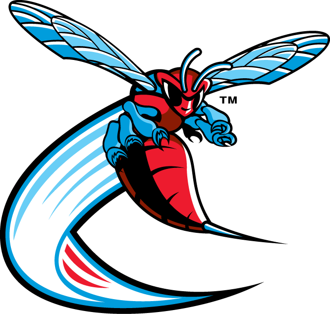 Delaware State Hornets 2004-Pres Alternate Logo 03 vinyl decal